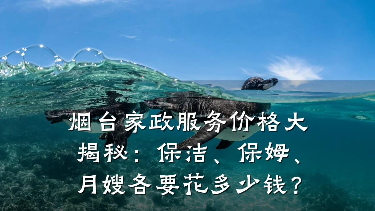 烟台家政服务价格大揭秘：保洁、保姆、月嫂各要花多少钱？