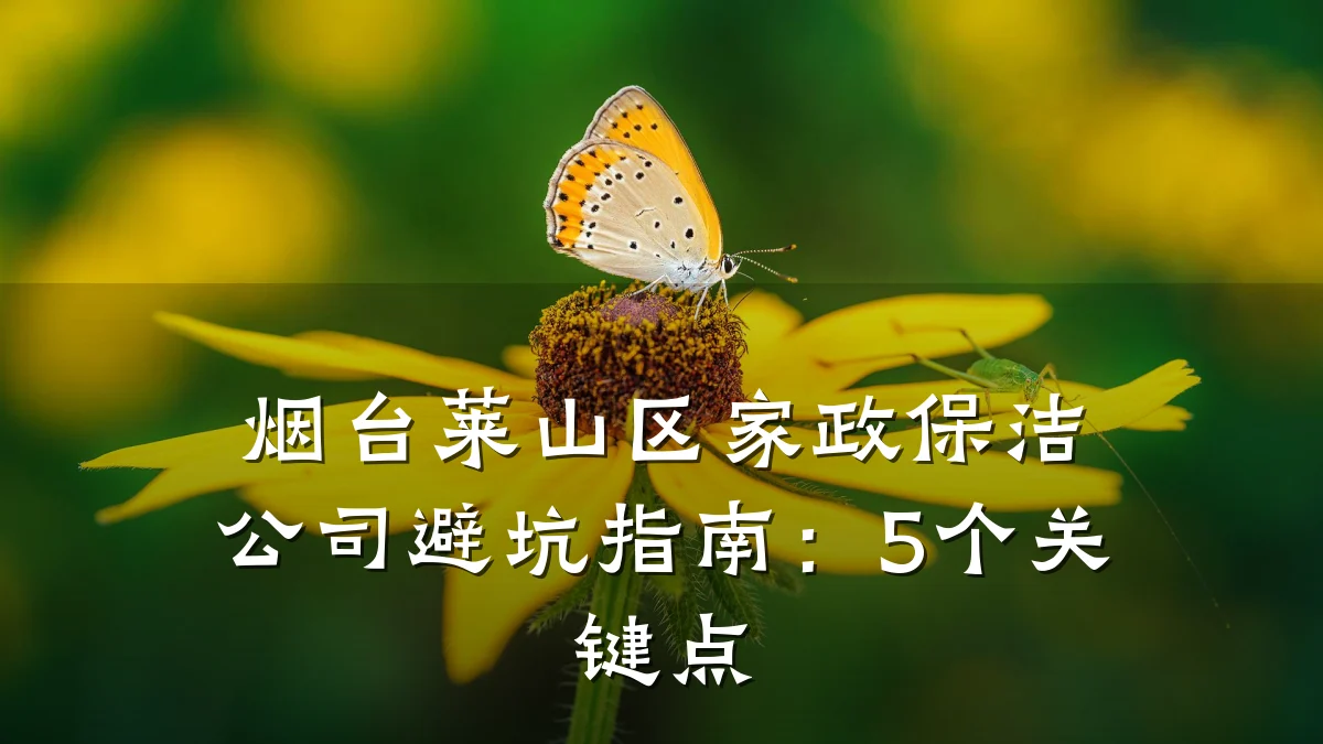 烟台莱山区家政保洁公司避坑指南：5个关键点
