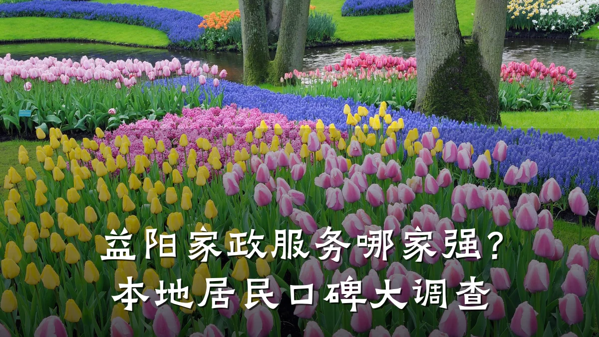益阳家政服务哪家强?本地居民口碑大调查