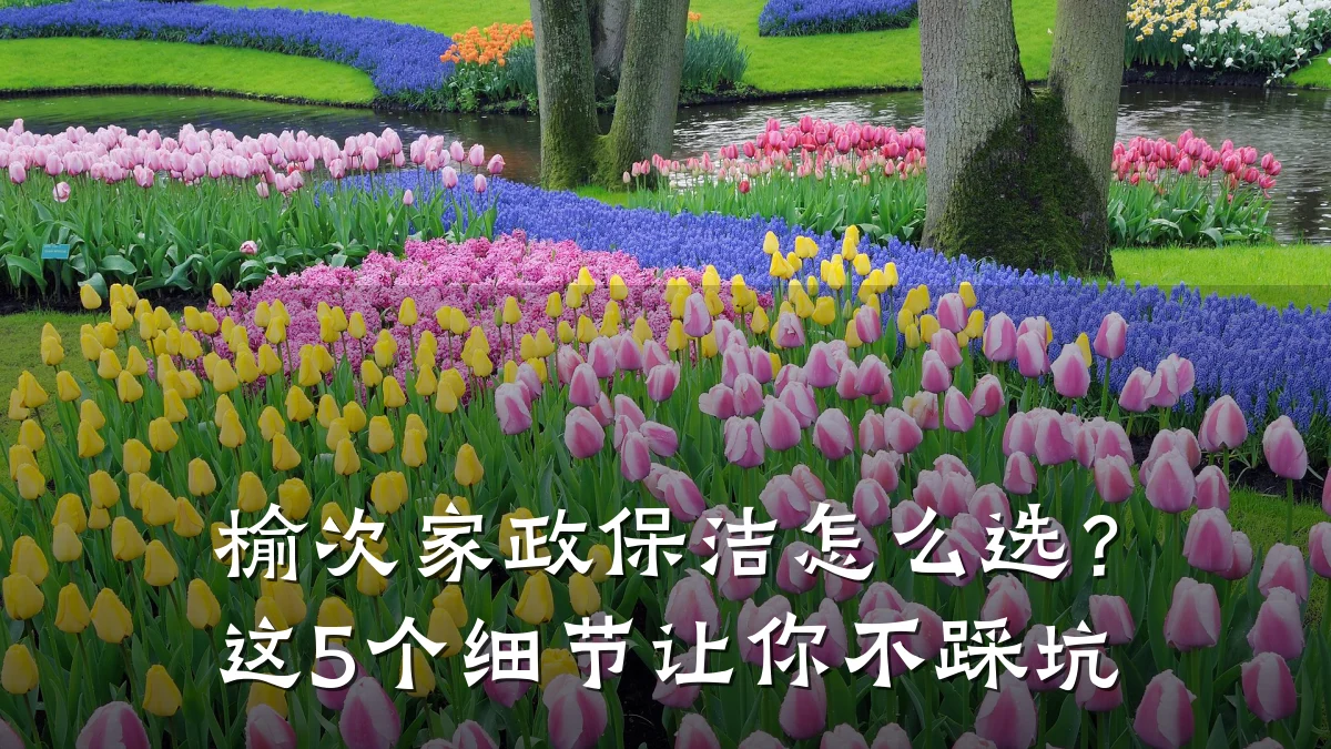 榆次家政保洁怎么选?这5个细节让你不踩坑