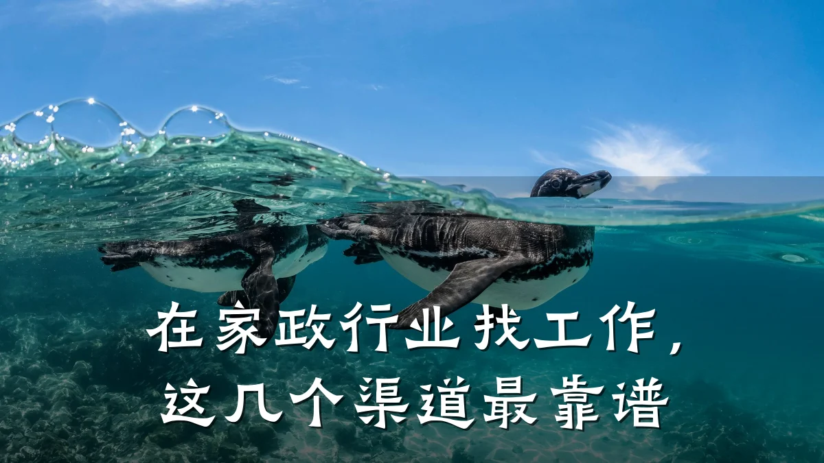 在家政行业找工作，这几个渠道最靠谱