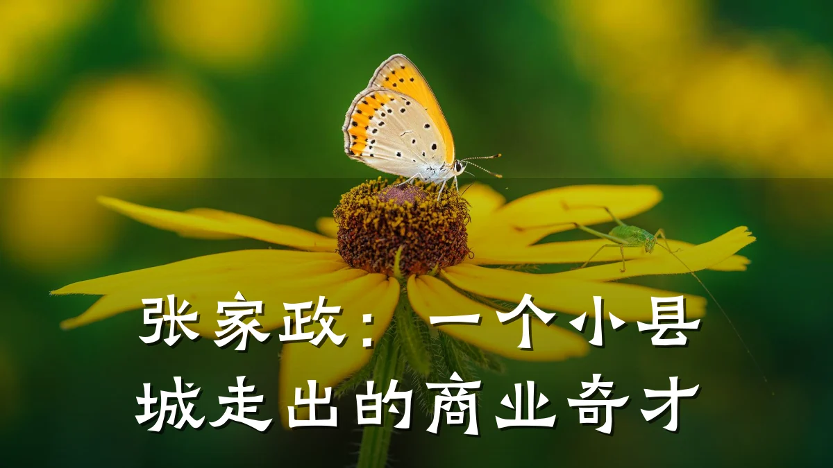 张家政：一个小县城走出的商业奇才
