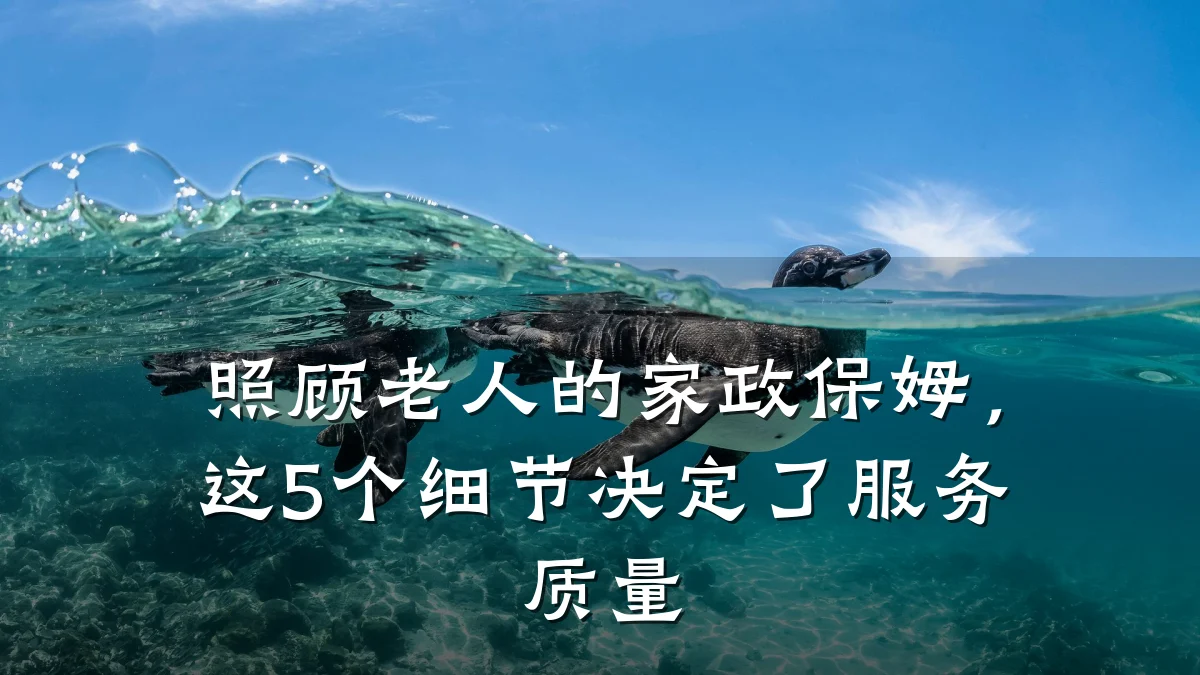 照顾老人的家政保姆，这5个细节决定了服务质量