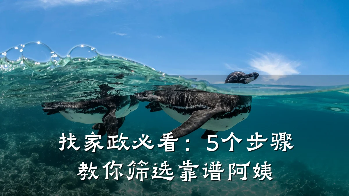 找家政必看：5个步骤教你筛选靠谱阿姨