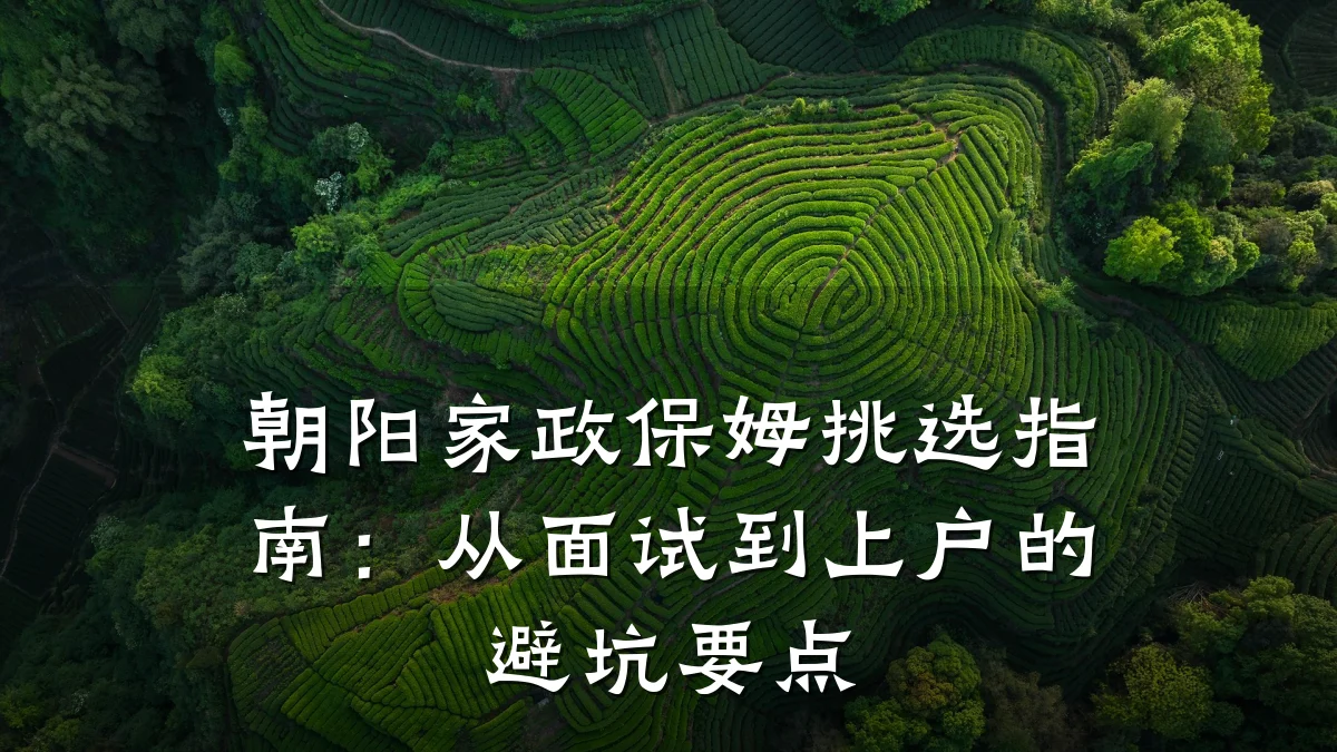 朝阳家政保姆挑选指南：从面试到上户的避坑要点