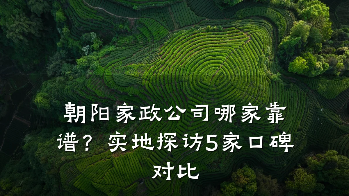 朝阳家政公司哪家靠谱？实地探访5家口碑对比