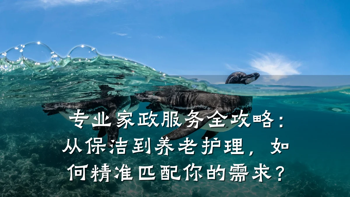专业家政服务全攻略：从保洁到养老护理，如何精准匹配你的需求？