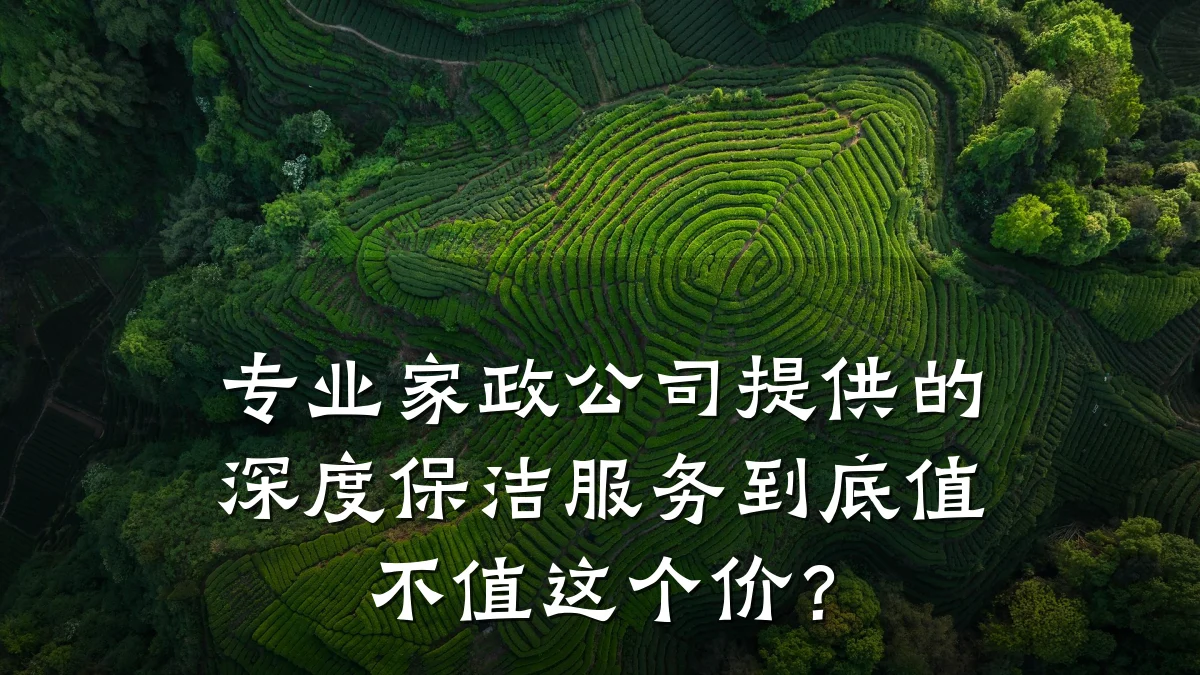 专业家政公司提供的深度保洁服务到底值不值这个价？