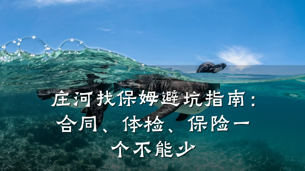 庄河找保姆避坑指南：合同、体检、保险一个不能少