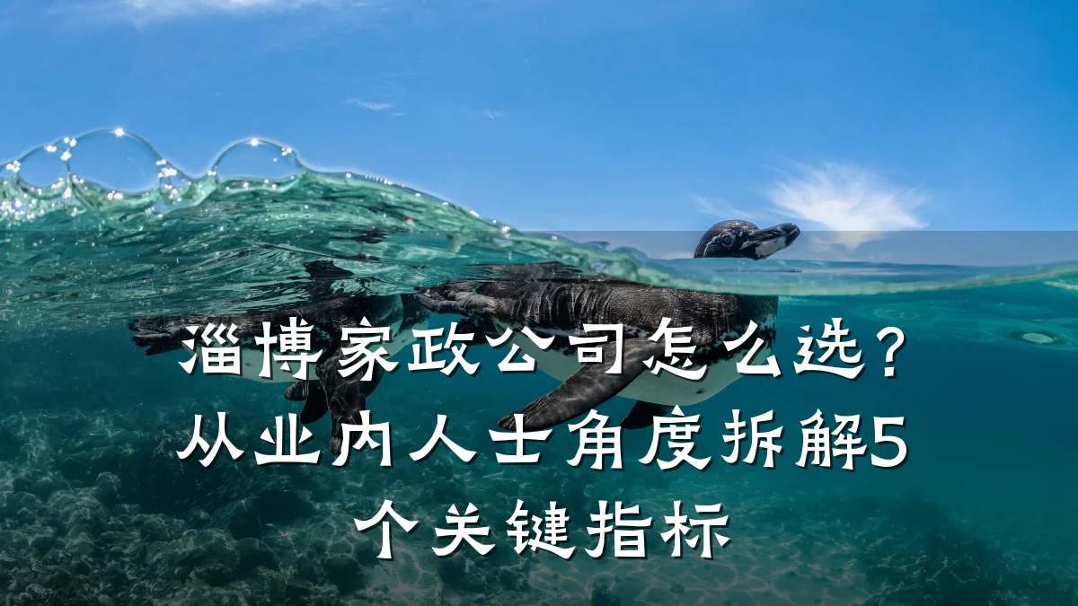 淄博家政公司怎么选？从业内人士角度拆解5个关键指标