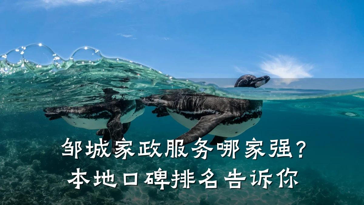 邹城家政服务哪家强？本地口碑排名告诉你