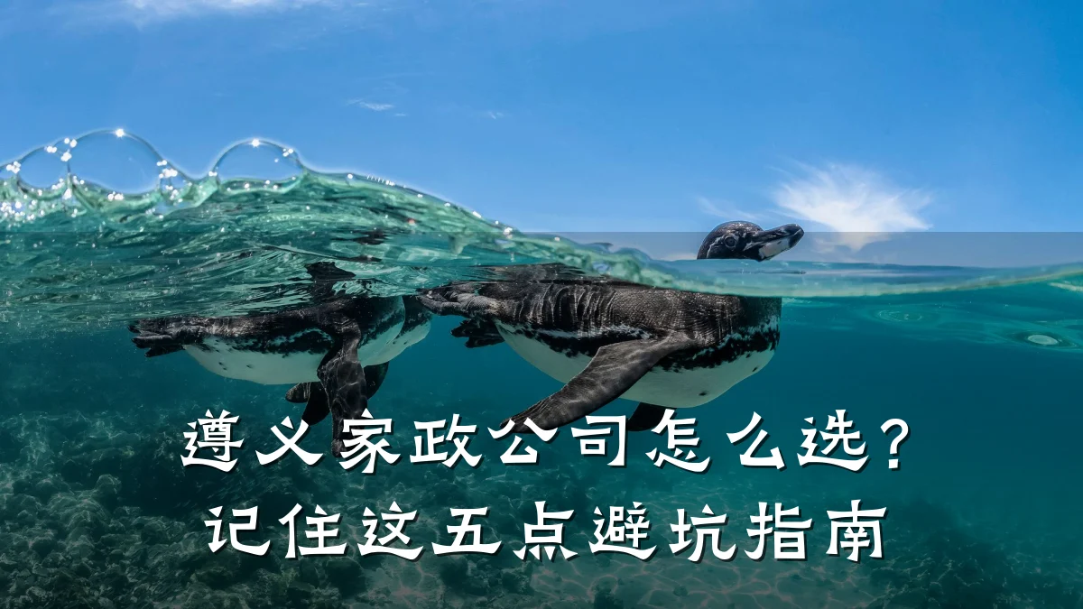 遵义家政公司怎么选？记住这五点避坑指南