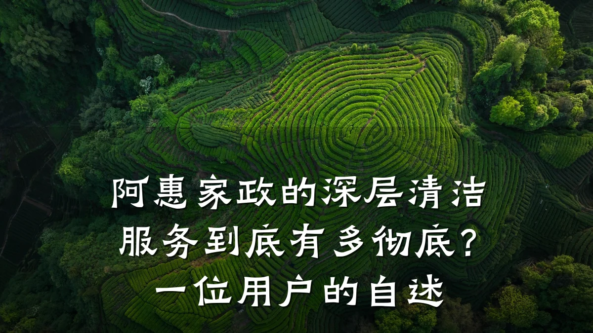 阿惠家政的深层清洁服务到底有多彻底？一位用户的自述