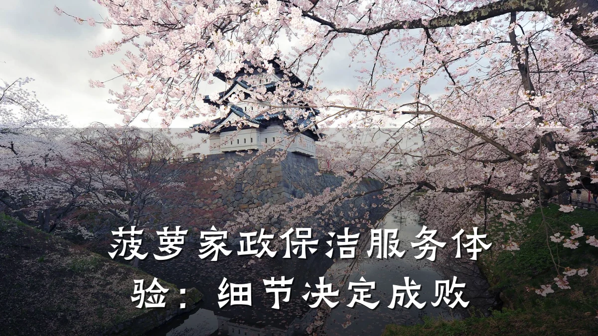 菠萝家政保洁服务体验：细节决定成败