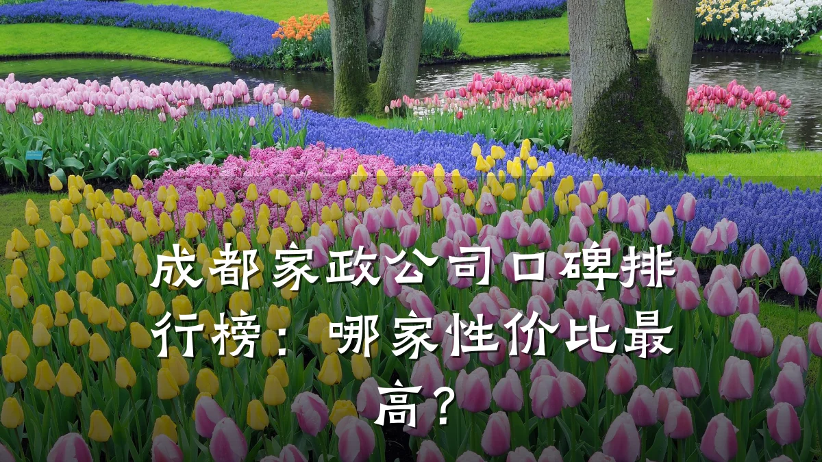 成都家政公司口碑排行榜：哪家性价比最高？