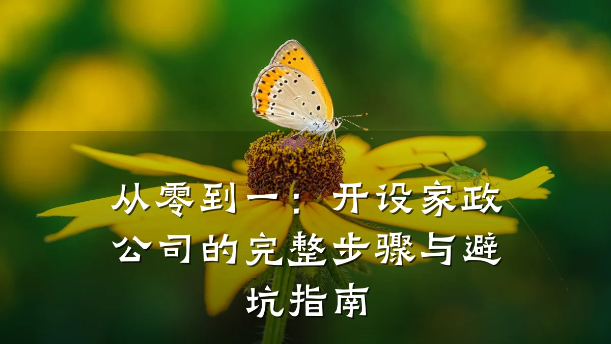 从零到一：开设家政公司的完整步骤与避坑指南