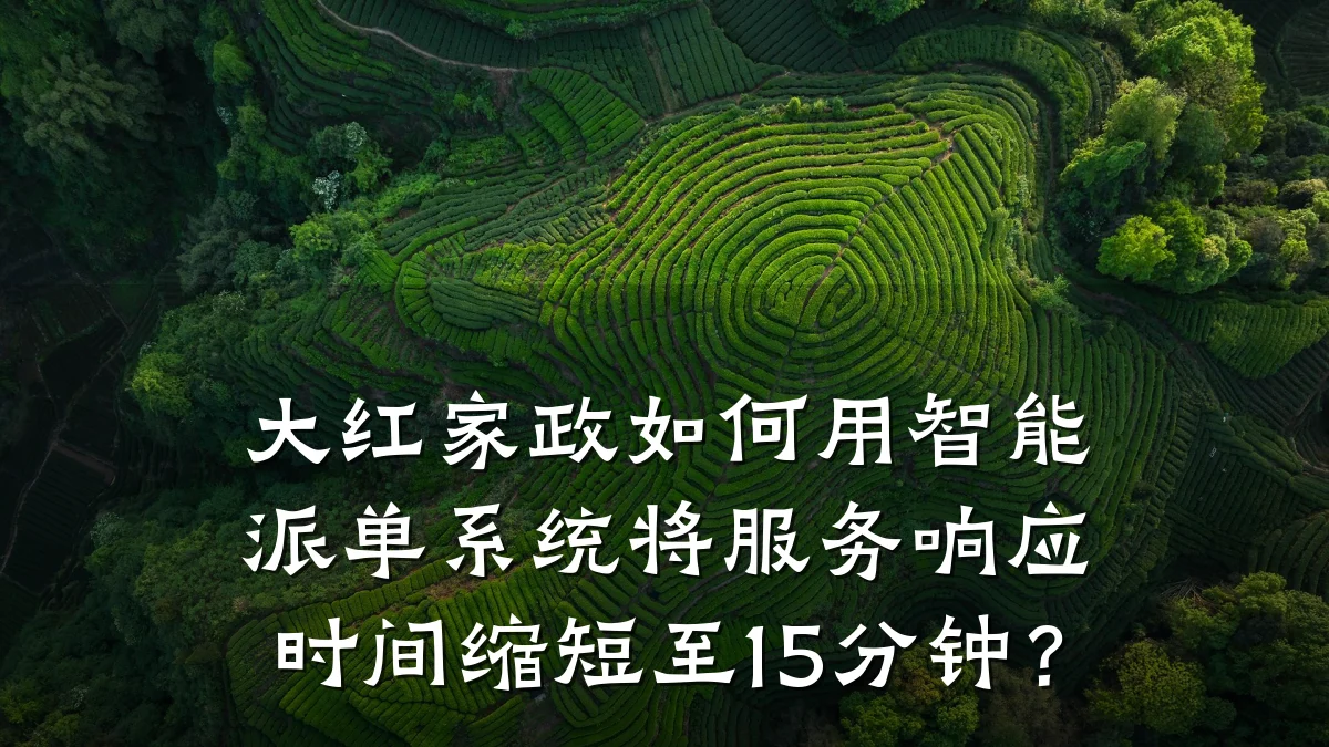 大红家政如何用智能派单系统将服务响应时间缩短至15分钟？