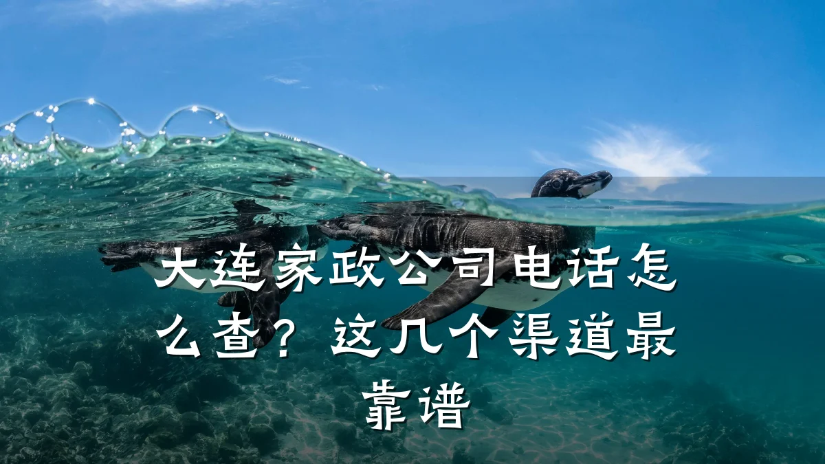 大连家政公司电话怎么查？这几个渠道最靠谱