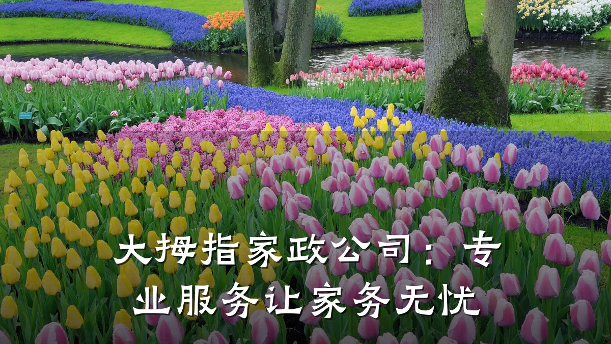 大拇指家政公司：专业服务让家务无忧