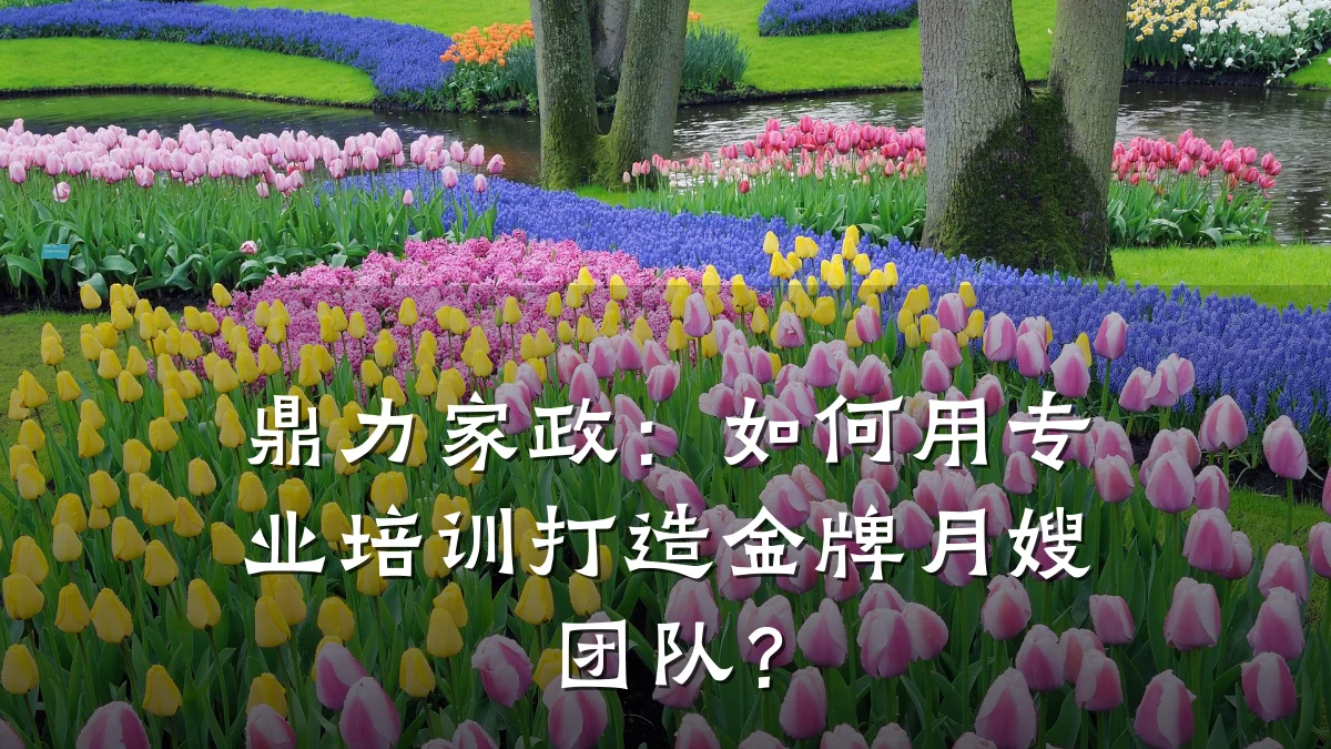 鼎力家政:如何用专业培训打造金牌月嫂团队?