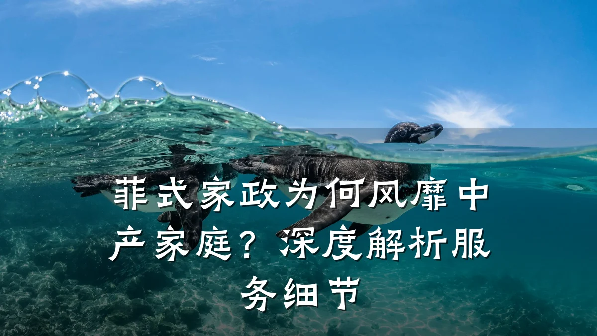 菲式家政为何风靡中产家庭？深度解析服务细节