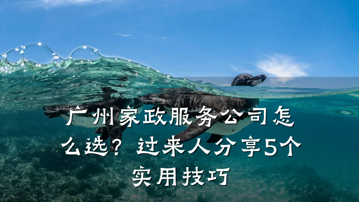 广州家政服务公司怎么选？过来人分享5个实用技巧