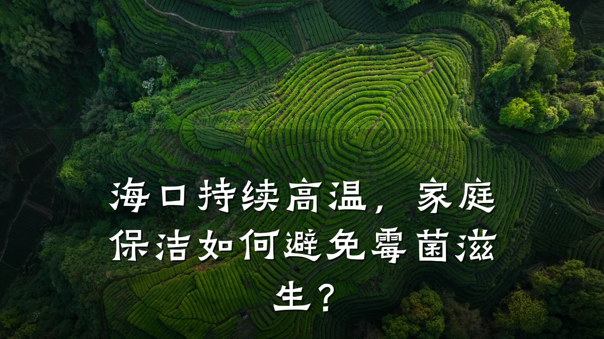 海口持续高温，家庭保洁如何避免霉菌滋生？