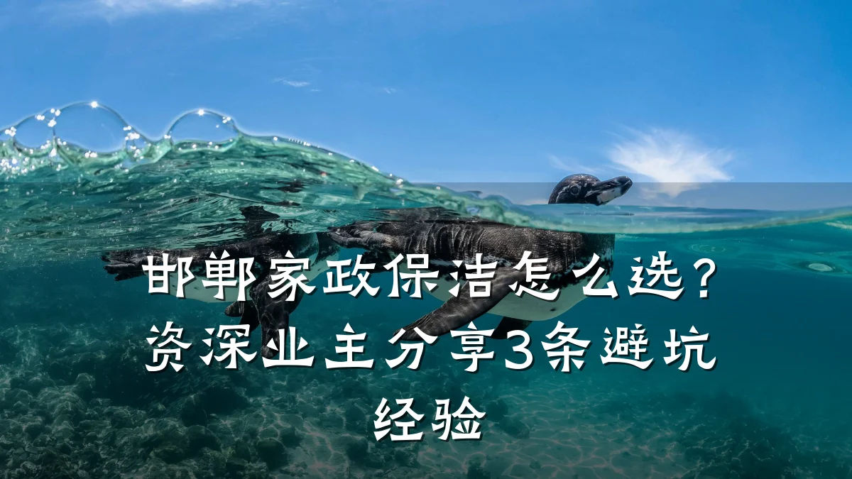 邯郸家政保洁怎么选？资深业主分享3条避坑经验