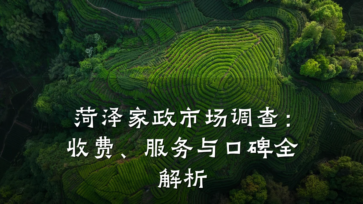 菏泽家政市场调查：收费、服务与口碑全解析