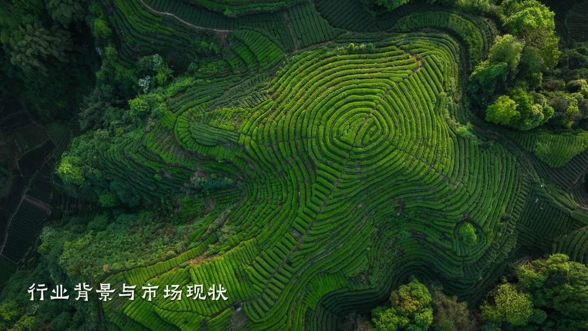 行业背景与市场现状