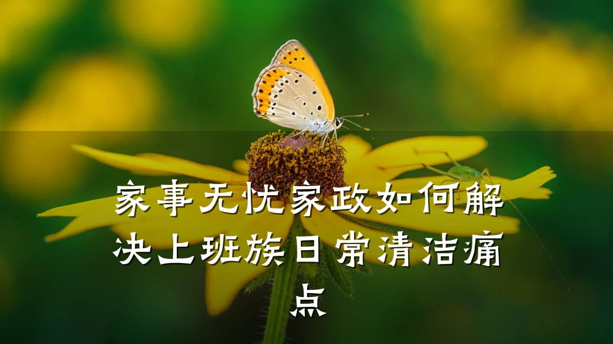 家事无忧家政如何解决上班族日常清洁痛点