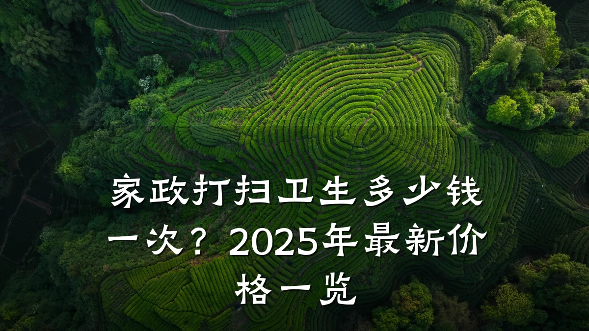 家政打扫卫生多少钱一次？2025年最新价格一览