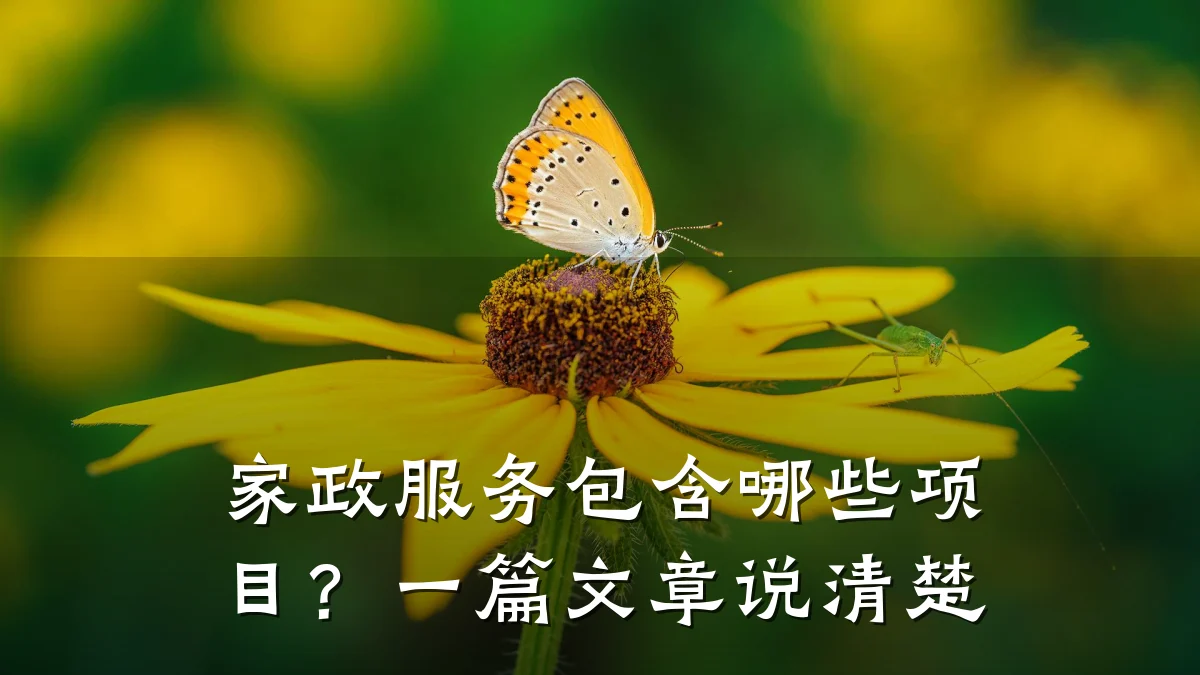 家政服务包含哪些项目?一篇文章说清楚