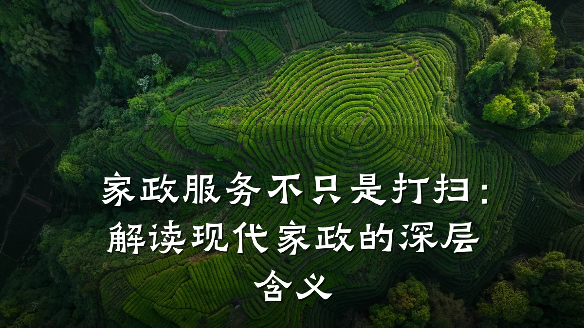 家政服务不只是打扫:解读现代家政的深层含义
