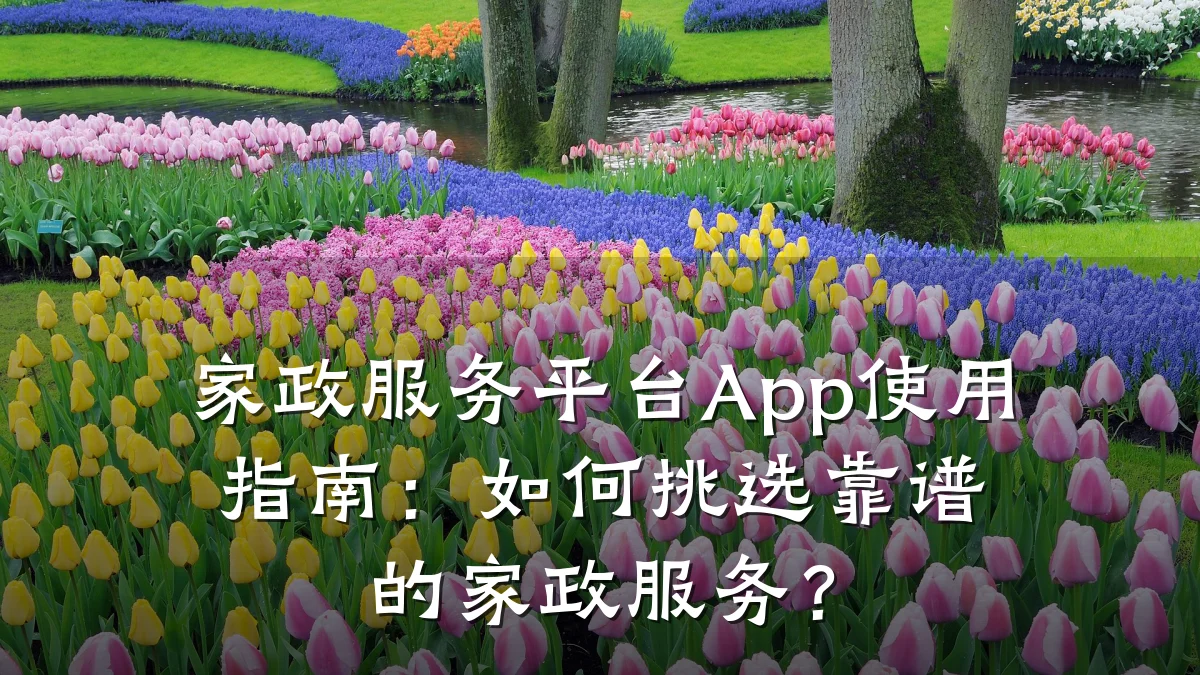 家政服务平台App使用指南：如何挑选靠谱的家政服务？