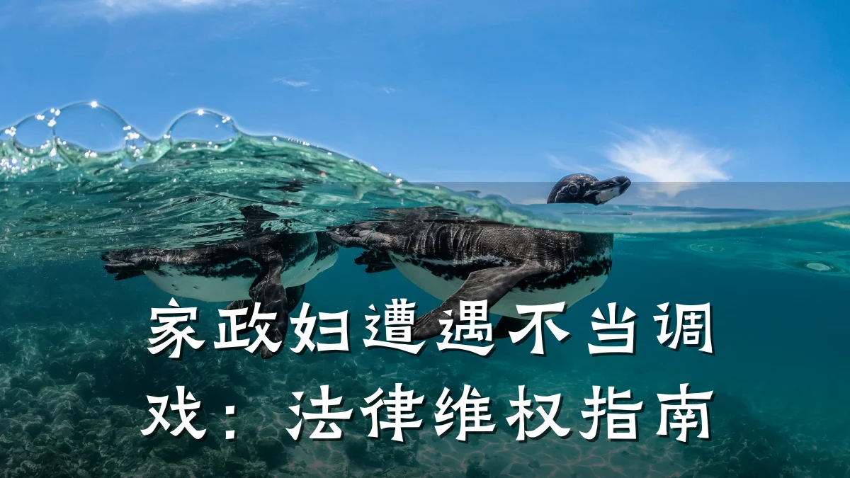家政妇遭遇不当调戏：法律维权指南