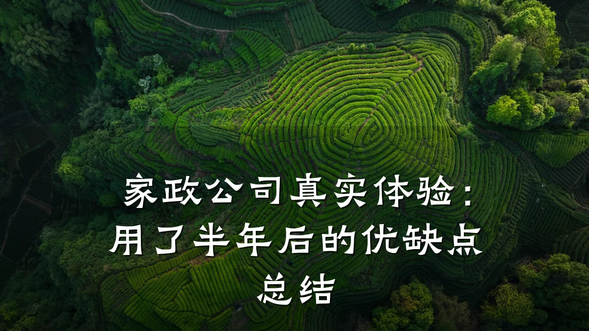 家政公司真实体验：用了半年后的优缺点总结