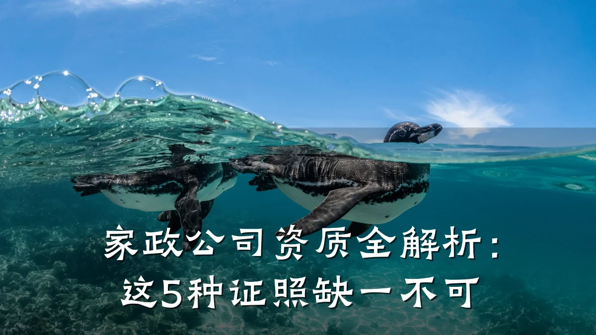 家政公司资质全解析：这5种证照缺一不可