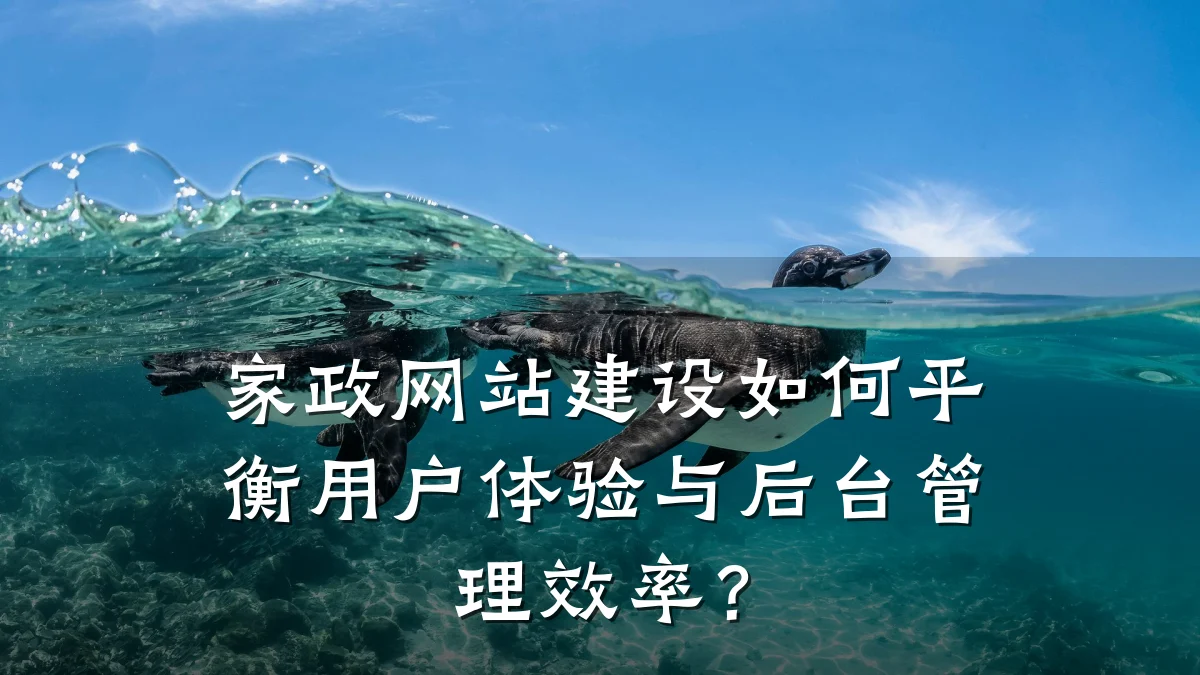 家政网站建设如何平衡用户体验与后台管理效率？