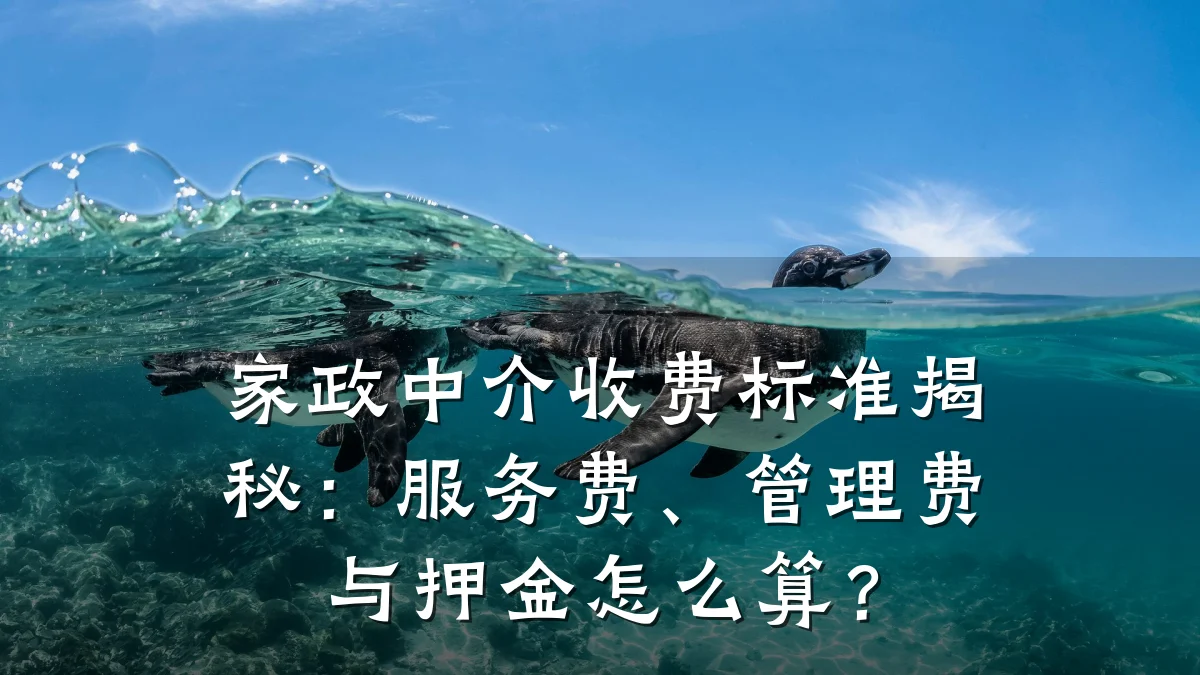 家政中介收费标准揭秘:服务费、管理费与押金怎么算?