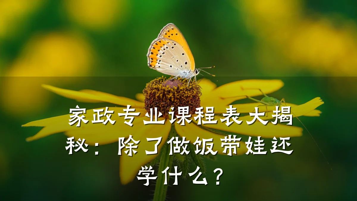家政专业课程表大揭秘：除了做饭带娃还学什么？