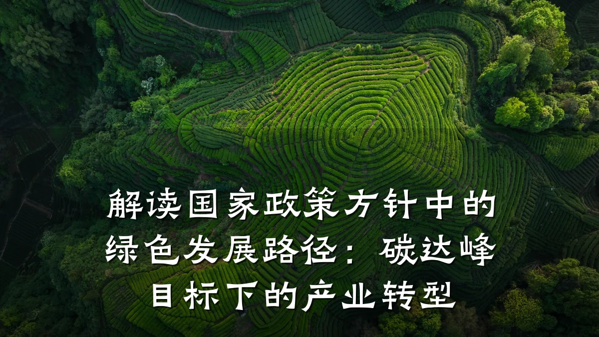 解读国家政策方针中的绿色发展路径：碳达峰目标下的产业转型