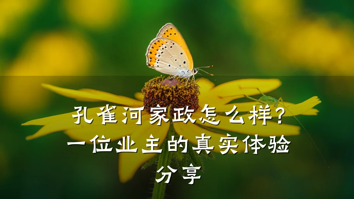 孔雀河家政怎么样?一位业主的真实体验分享
