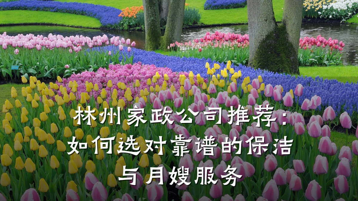 林州家政公司推荐：如何选对靠谱的保洁与月嫂服务