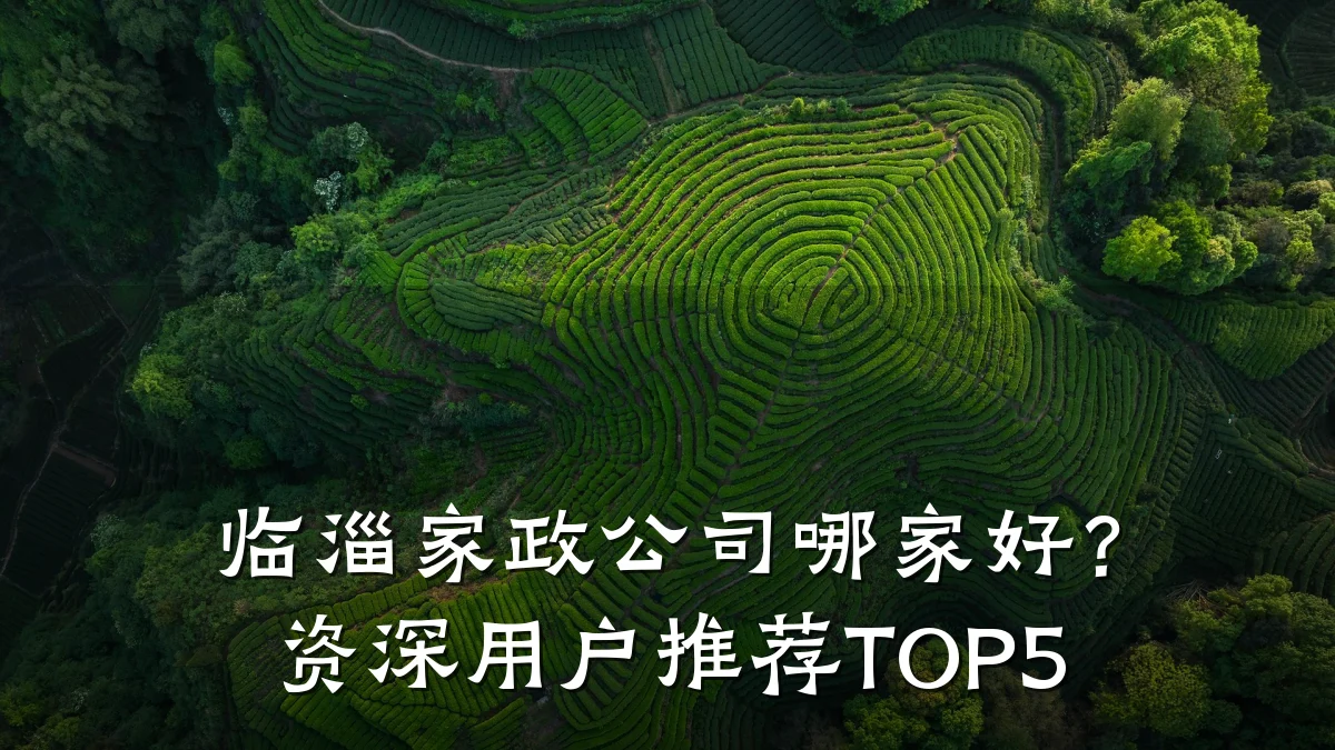 临淄家政公司哪家好？资深用户推荐TOP5
