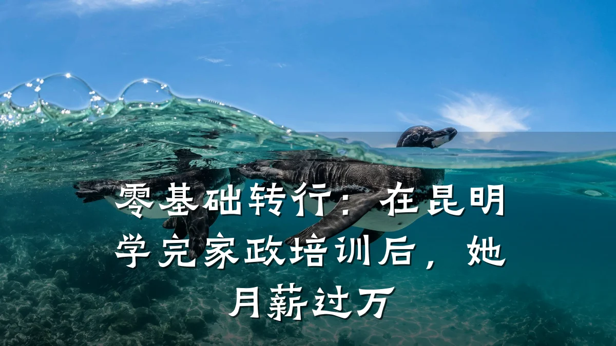 零基础转行：在昆明学完家政培训后，她月薪过万
