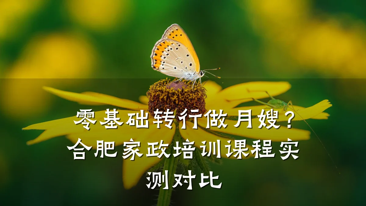 零基础转行做月嫂？合肥家政培训课程实测对比