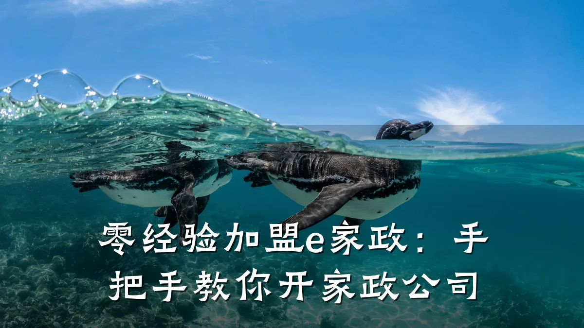 零经验加盟e家政：手把手教你开家政公司