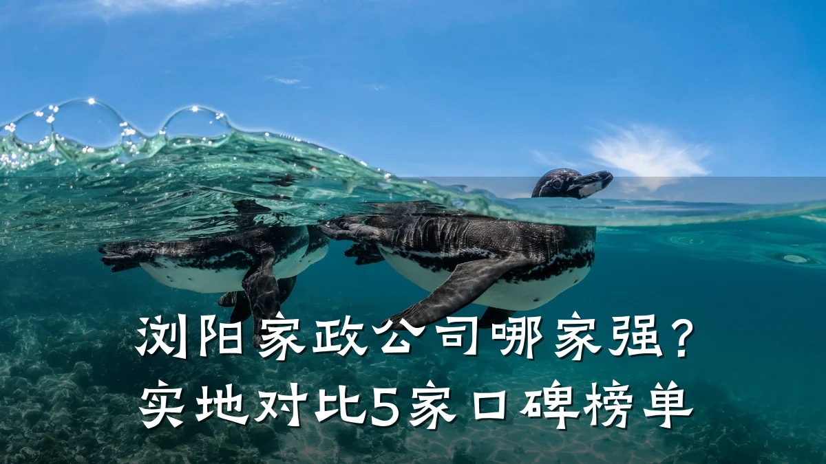 浏阳家政公司哪家强？实地对比5家口碑榜单