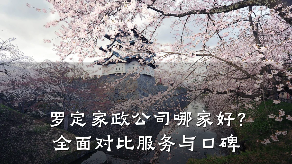 罗定家政公司哪家好？全面对比服务与口碑